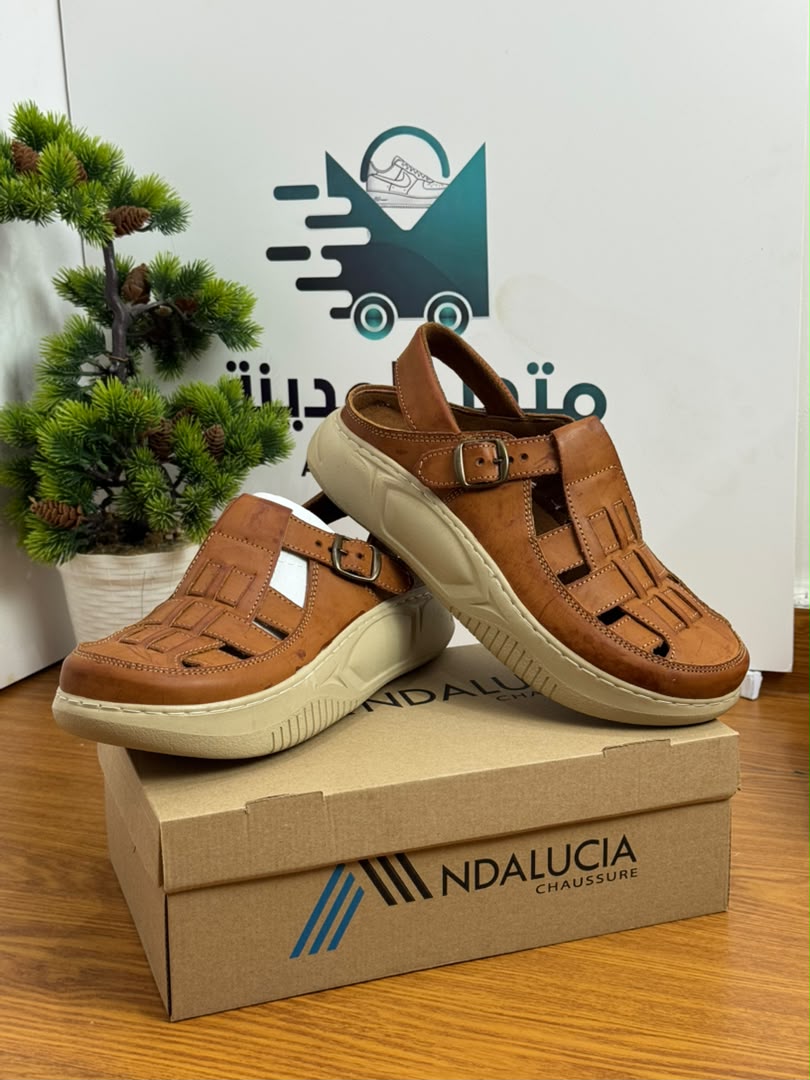 صندالة طبية 2026